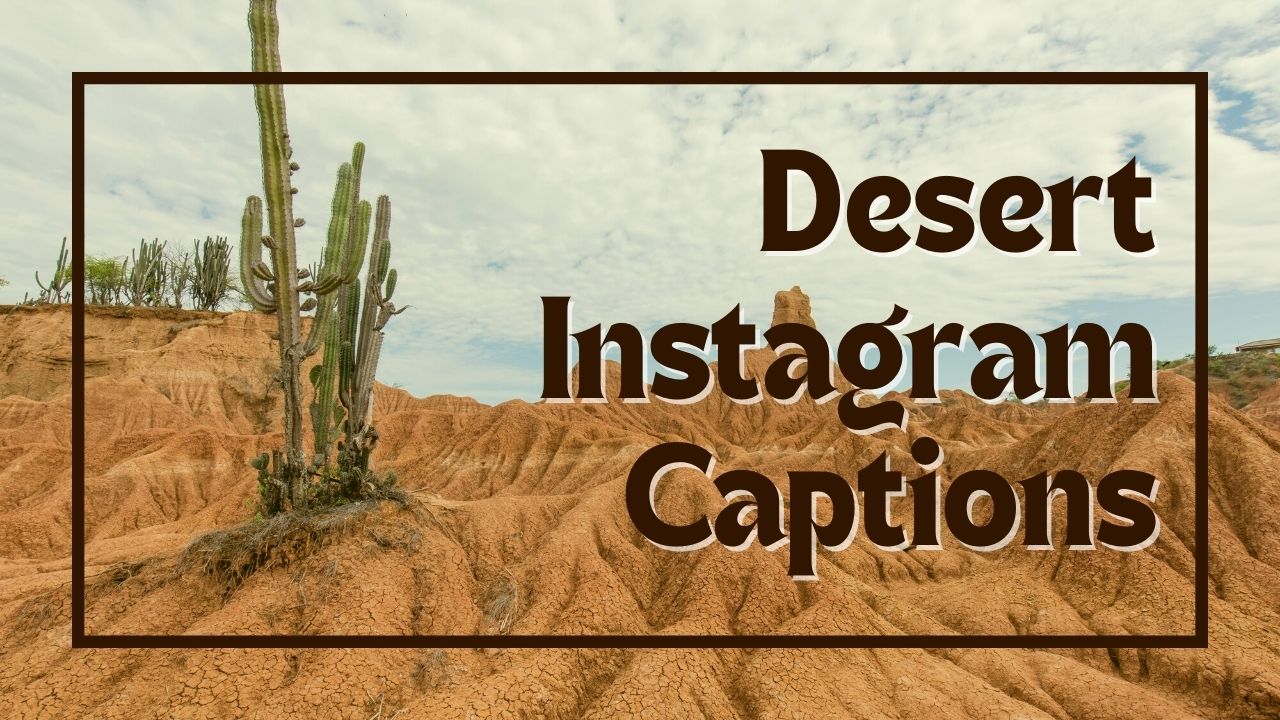 Plus de 100 légendes Instagram épiques sur le désert pour vos photos
